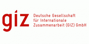 12 job vacancies at GIZ International Services, Kosovo, applications’ deadline 14th April 2014