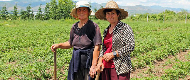 BBC Radio 4: Albania and the Cheese Road (Audio)