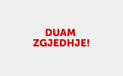 Qendra e Lëvizjes VETËVENDOSJE! në Britani të Madhe hapë pika për nënshkrimin e peticionit Duam Zgjedhje