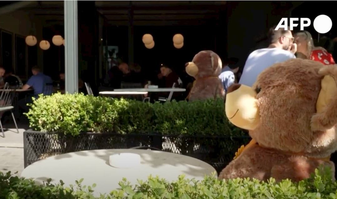 Video: Kosova cafe uses toy bears for distancing as virus measures return